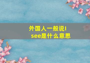 外国人一般说I see是什么意思